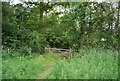 Gate, Barrs Wood