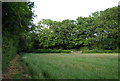 Field north of the Oast house, Tinley Lodge Farm