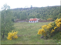 NH3113 : Ruin and derelict shed near Dundreggan by Sarah McGuire