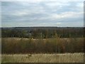 Looking towards Langold Lake