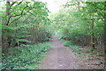 Bridleway, Dene Park (5)