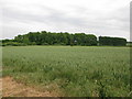 View across field near Britton Farm