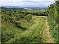 Conservation walk near Blackdown Rings (3)