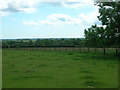 Farmland South of Hutton