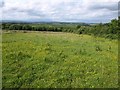 Meadow above Hazlewood