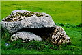 G6633 : Carrowmore Megalithic Cemetery by Joseph Mischyshyn