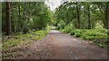 Webb Road on Milford Common