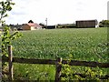 Field, bungalow and barn near Staindale Grange