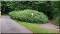 Bridleway leaves byway near Tilford