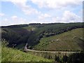 View of forest road above Afon Marlais