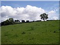 Field alongside fort