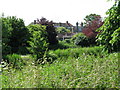 Houses to the S of the Royal Military Canal