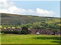 View over Demesne Drive