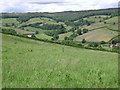 A long steep field above the Aller Brook valley