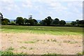 Arable field near North Moreton