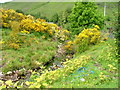 Unnamed burn at Scallasaig