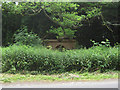 Drinking fountain becoming overgrown