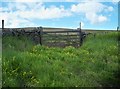 Hudgill Farm field gate