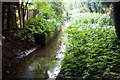 Wesley Brook near Dyas Mews, Shifnal