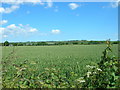 Farmland, Seamer