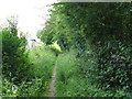 Footpath behind houses in Five Oaks