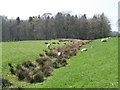 The Vallum west of Milecastle 51