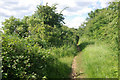 Old railway near Cawston