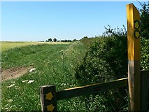 SK7313 : Footpath off Thorpe Satchville Road by Mat Fascione
