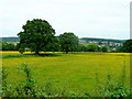 Pastoral view towards Drybrook