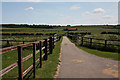 Track to grazing land