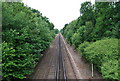 The railway line to Tonbridge from the Hartlake Rd Bridge