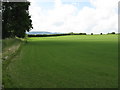 Mown Field Near Lower Egleton