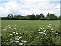 Field By The A417