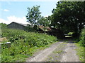 Farm buildings north of Bignor Farm