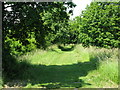 The Royal Military Canal Path