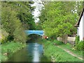 Wendover Arm: Looking towards Bridge No 8a