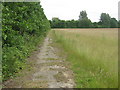 Footpath to Beltring House