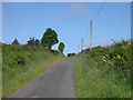 Country road past Coedllanau farm