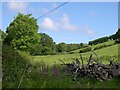 Field below Tynfron