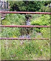 Bridge over Afon Duad at Heol -y-bwt