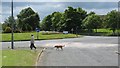 Roundabout, Braidcraft Road