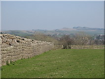 NY6166 : Hadrian's Wall west of Milecastle 49 (Harrow's Scar) by Mike Quinn