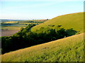 SU0122 : Marleycombe Hill in evening sunshine by Jonathan Billinger