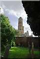 Hadlow tower, Hadlow