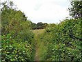 Reddish Vale Country Park