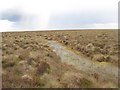 ND1044 : Blanket Bog in the Caithness Flow Country by david glass
