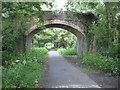 Bridge over the Tarka Trail