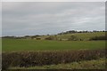 View across the valley in the direction of Tregaian