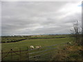 SH4180 : View south eastwards across grazing land at Coedana by Eric Jones