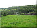 Grazing pasture beside the M5